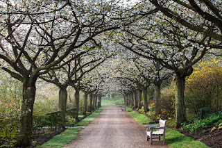  Les Jardins de Valloires @Franck Boucourt